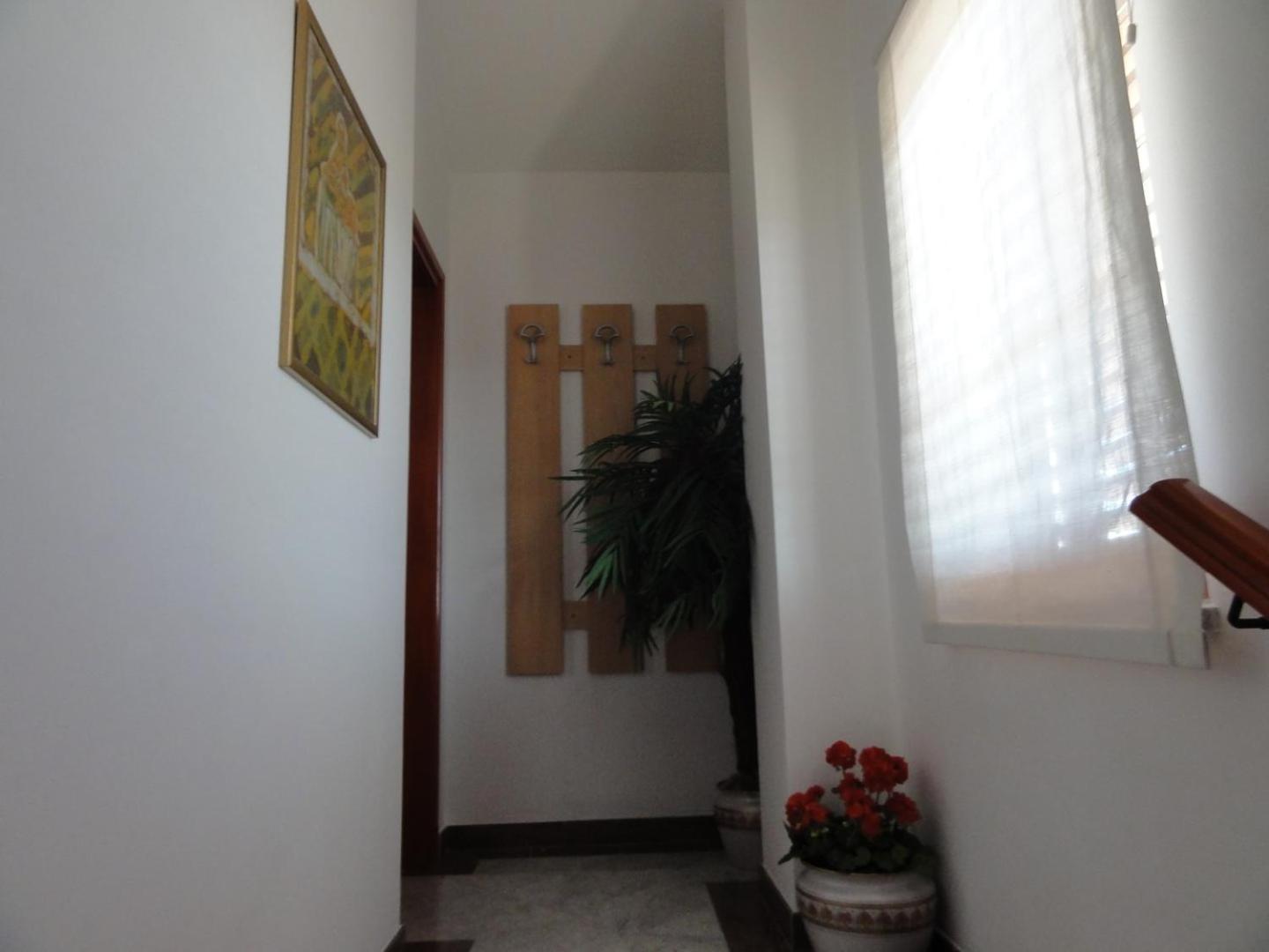 Cozy Apartments And Rooms Pavicini Segotici Exterior foto