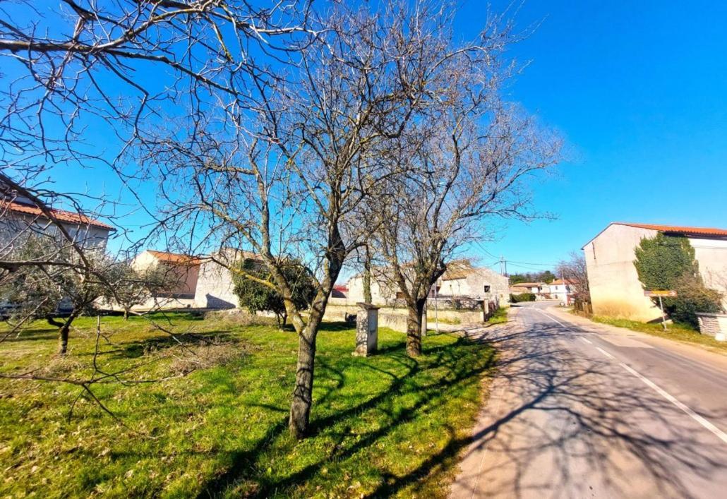 Cozy Apartments And Rooms Pavicini Segotici Exterior foto